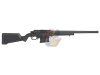 ARES Amoeba 'STRIKER' AS01 Sniper Rifle ( Black )