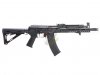 --Out of Stock--Arcturus AK105 Custom AEG