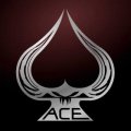 Ace One Arms MWS Products